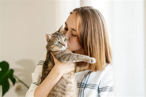 kiss cat stepmom|Not.